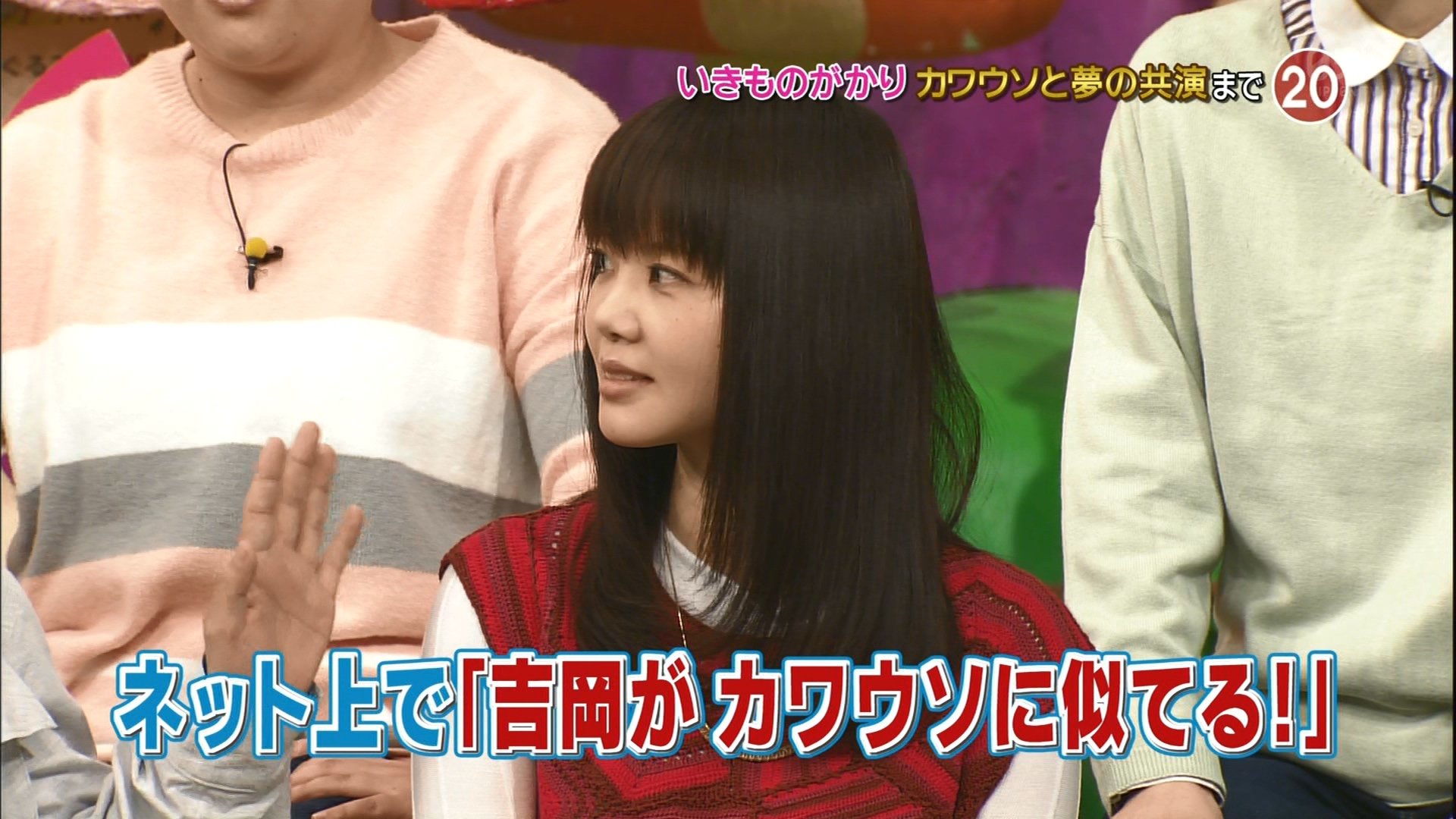 吉岡聖恵 天才 志村どうぶつ園sp Curia O