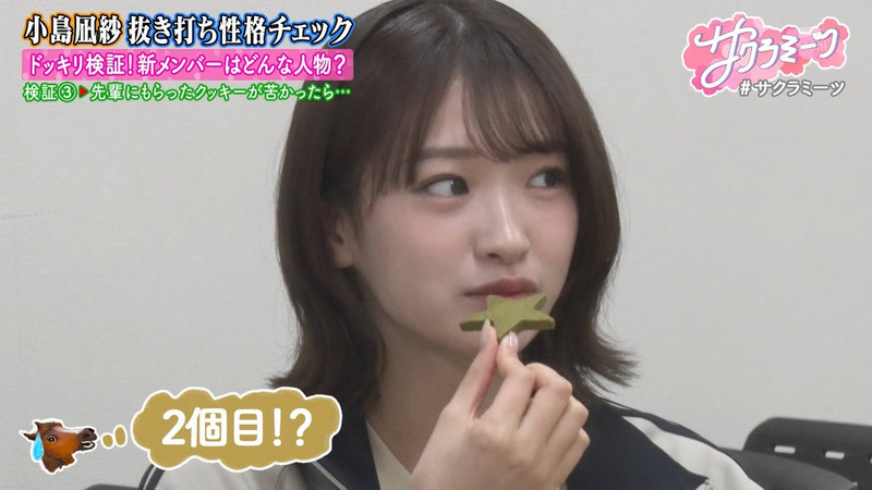 櫻坂46 ｢サクラミーツ Part.1｣ 25