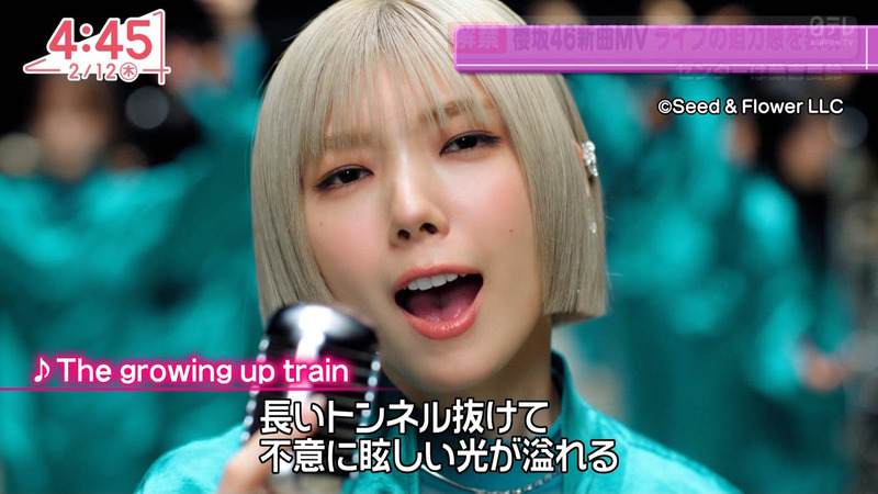 櫻坂46 ｢Oha!4 NEWS LIVE｣ 2