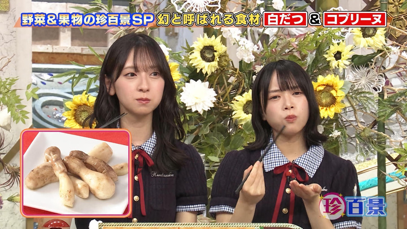 金村美玖･山口陽世 ｢ナニコレ珍百景｣ 6