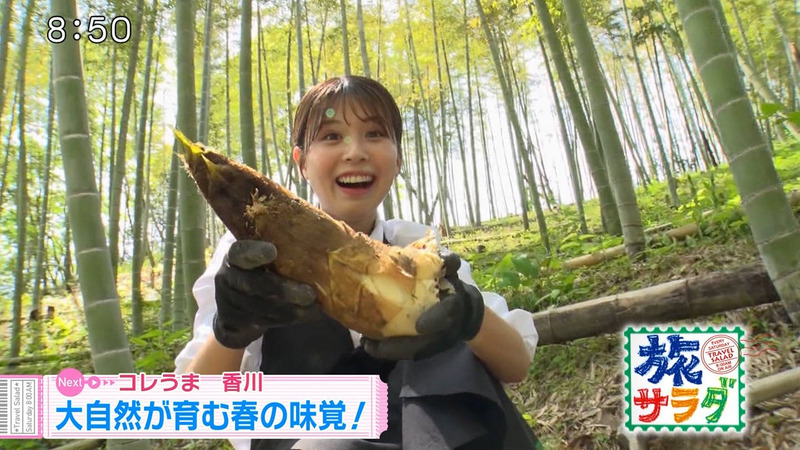 大仁田美咲 ｢朝だ！生です旅サラダ｣