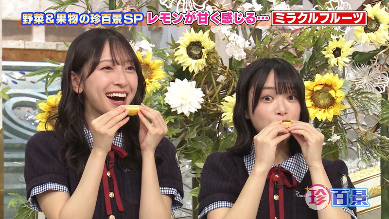 金村美玖･山口陽世 ｢ナニコレ珍百景｣ 11