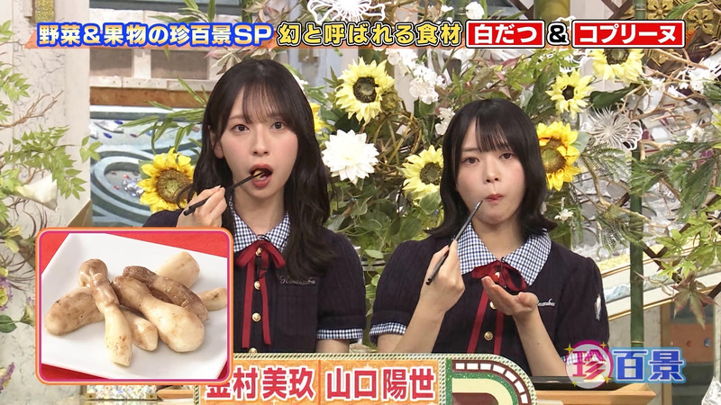 金村美玖･山口陽世 ｢ナニコレ珍百景｣ 4