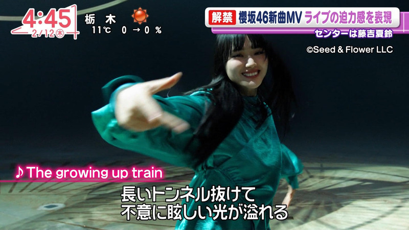 櫻坂46 ｢Oha!4 NEWS LIVE｣ 5