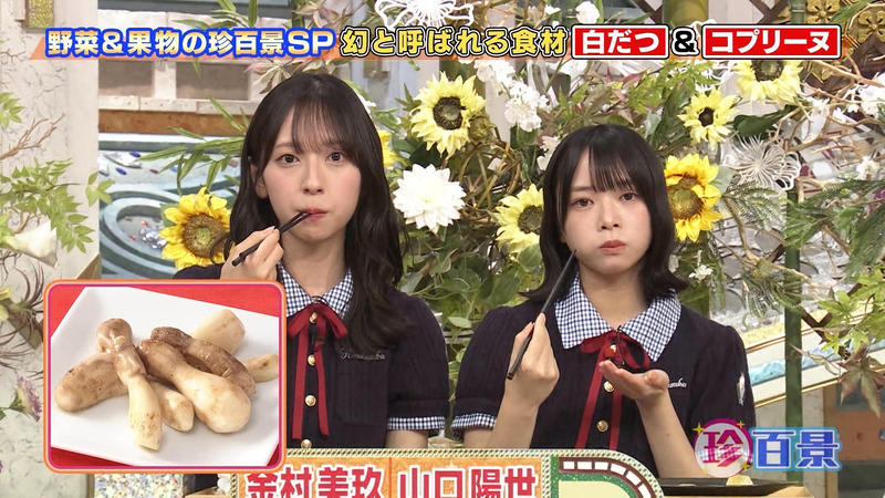 金村美玖･山口陽世 ｢ナニコレ珍百景｣ 5