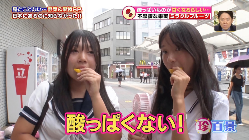 金村美玖･山口陽世 ｢ナニコレ珍百景｣ 15