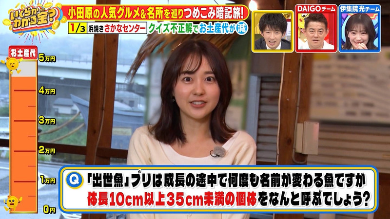 若林有子 ｢いくらかわかる金？｣ 7
