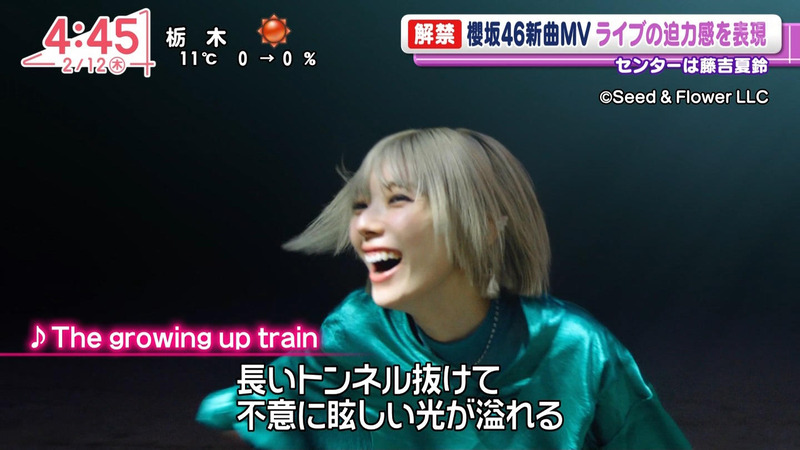 櫻坂46 ｢Oha!4 NEWS LIVE｣ 3