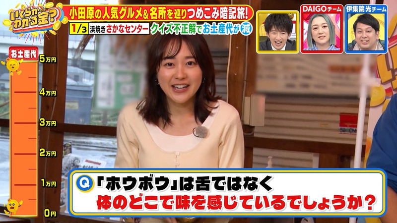 若林有子 ｢いくらかわかる金？｣ 5