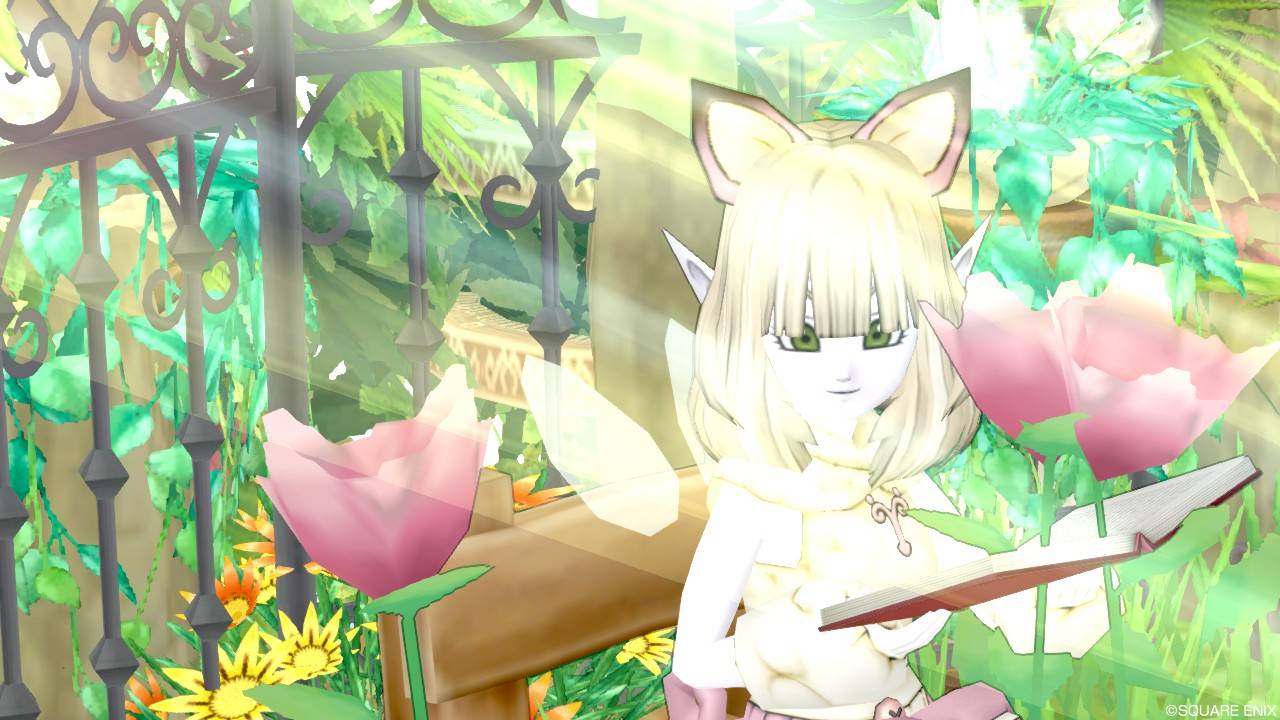 ソロっ子と相方の物語 ソロっ子のドラクエ１０日誌