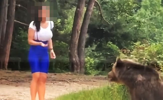 女性「あ、野生のクマだ！近づいて一緒に記念撮影しよ！」 → 結果・・・