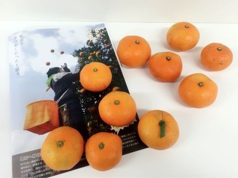 ℃-ute中島早貴、ファンからみかん10kgをプレゼントされる