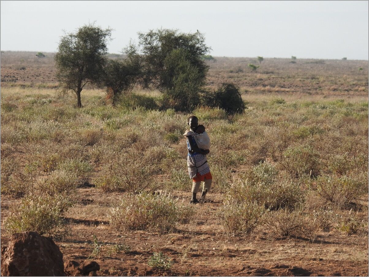 マサイ族は自分の血液型を知っている？ マサイ通信：第349回