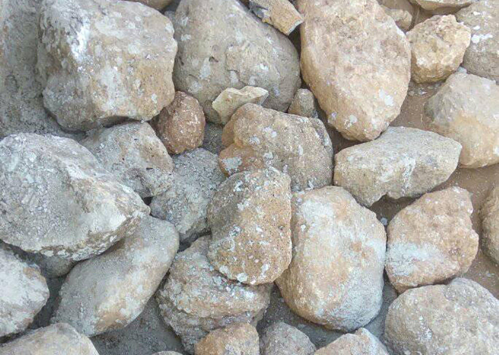 何のために送ってきたのかイマイチよくわからない画像集 / マサイ通信：第135回