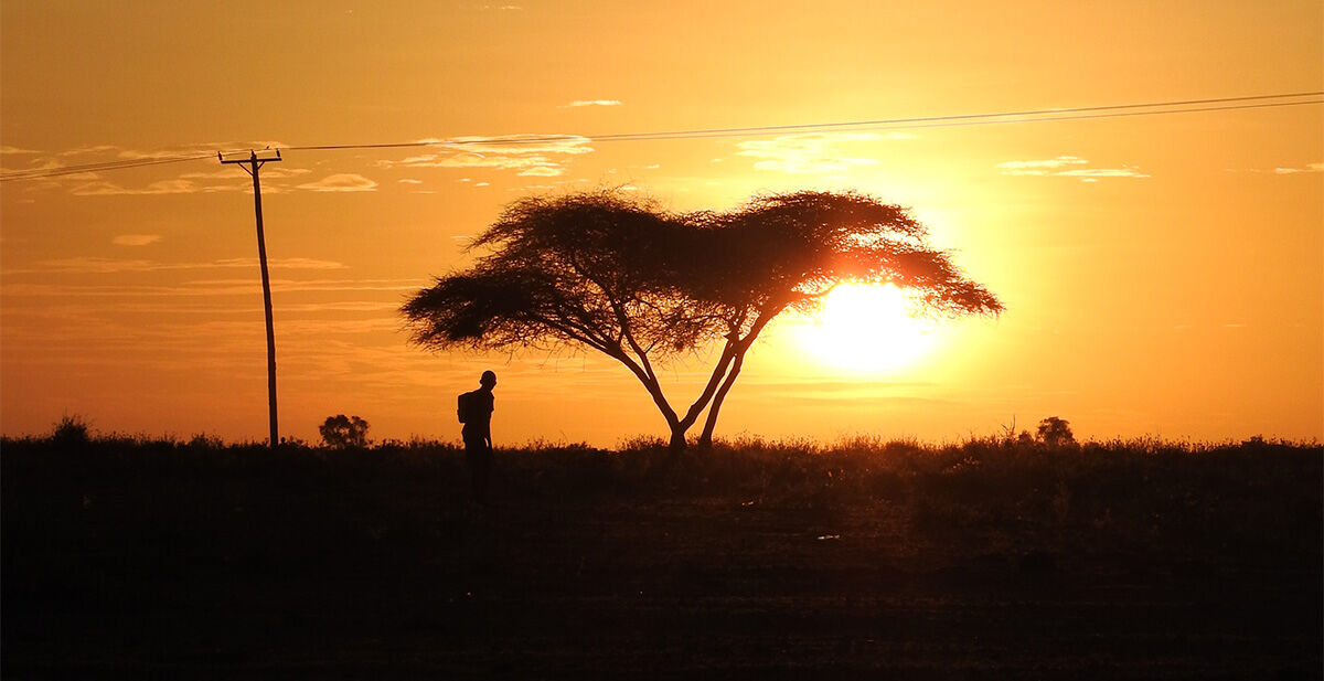 マサイ族に教えてもらったマサイの怪談「ねがいの木」が唐突すぎるストーリー展開で笑った / マサイ通信：第339回