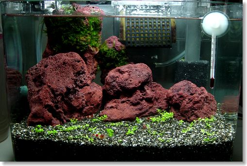 やっぱ公開w きまぐれcrs