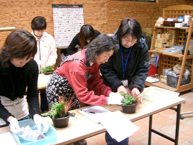 寄せ植え教室報告 ソーマオリジナルガーデン