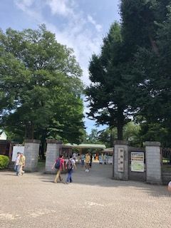 IMG_1351