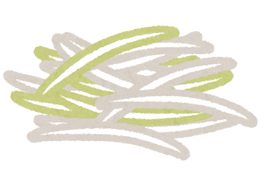 food_ramen_topping3_shiraga_negi