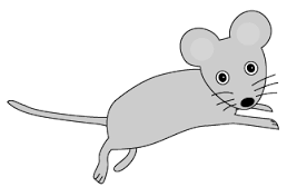 mouse