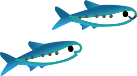 fish