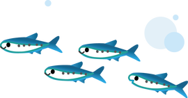 sakana