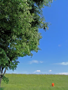 blog100531a