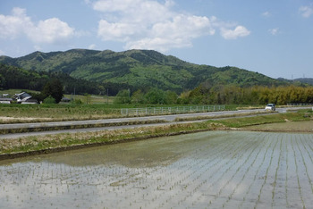 resize7649