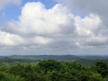 resize3823