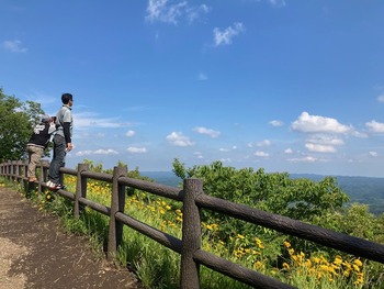 IMG_3293