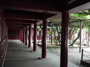 resize3955