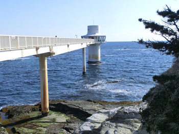 resize2532