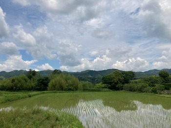 IMG_3282