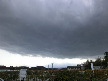 resize3055