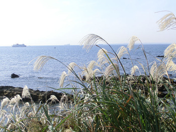 resize1564