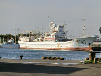 CIMG2232s