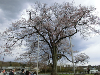 resize3057