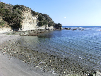 resize2539