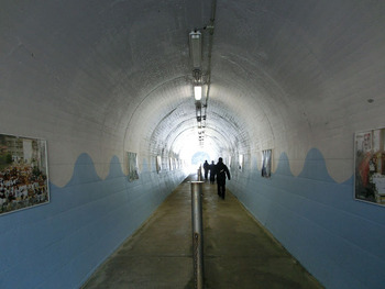 resize2537