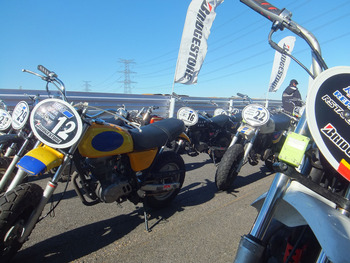 DSCF0846s