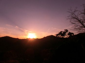 resize2227