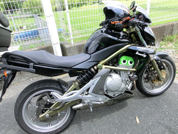 resize3876