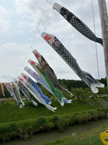 LINE_ALBUM_20260429 FLYD A Y_260430_2