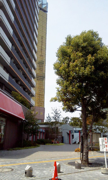 C360_2013-06-09-13-31-03-863s