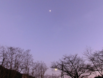 resize2215