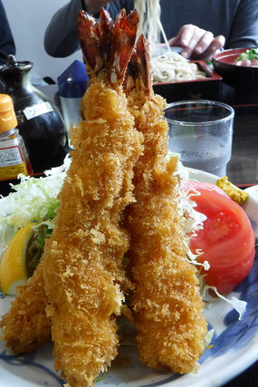 resize7546