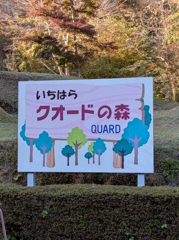 LINE_ALBUM_20251115 県内ツーリング_251116_14