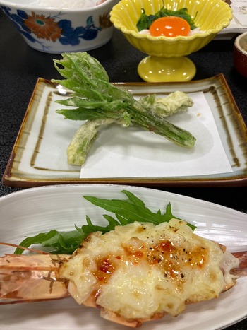 LINE_ALBUM_20230504 GWまごころの宿星乃井_230506_63
