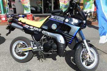 resize7561