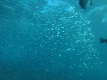 resize2520